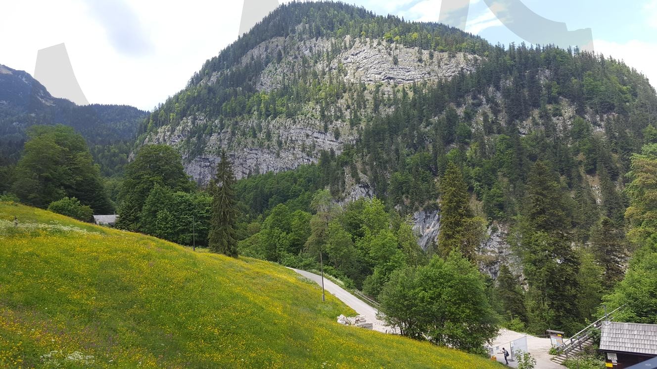 여행 | 여행, 오스트리아, 할슈타트, 숲, 산, 산책, 하늘, 구름, 풍경, 들판 | 스탠바이 STANDBUY 디지털 콘텐츠