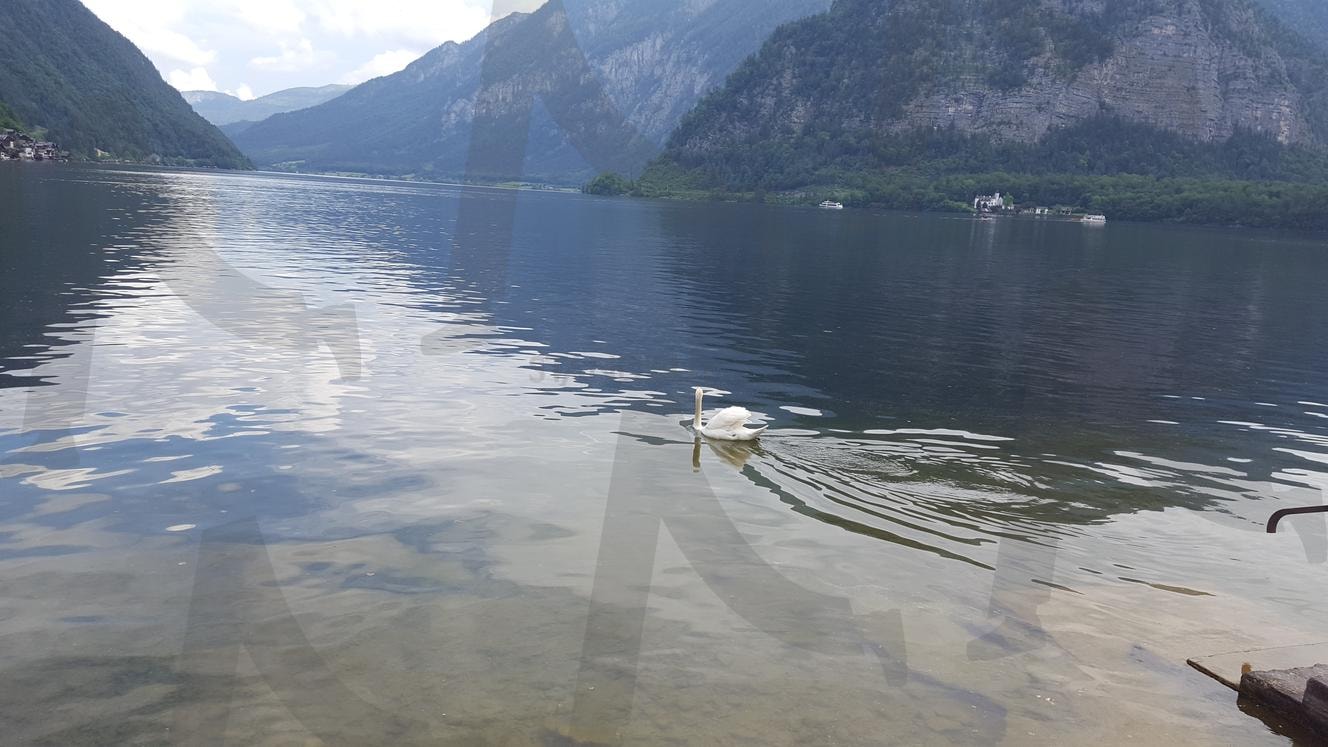 여행 | 여행, 할슈타트, 백조, 호수, 산, 하늘, 구름 | 스탠바이 STANDBUY 디지털 콘텐츠