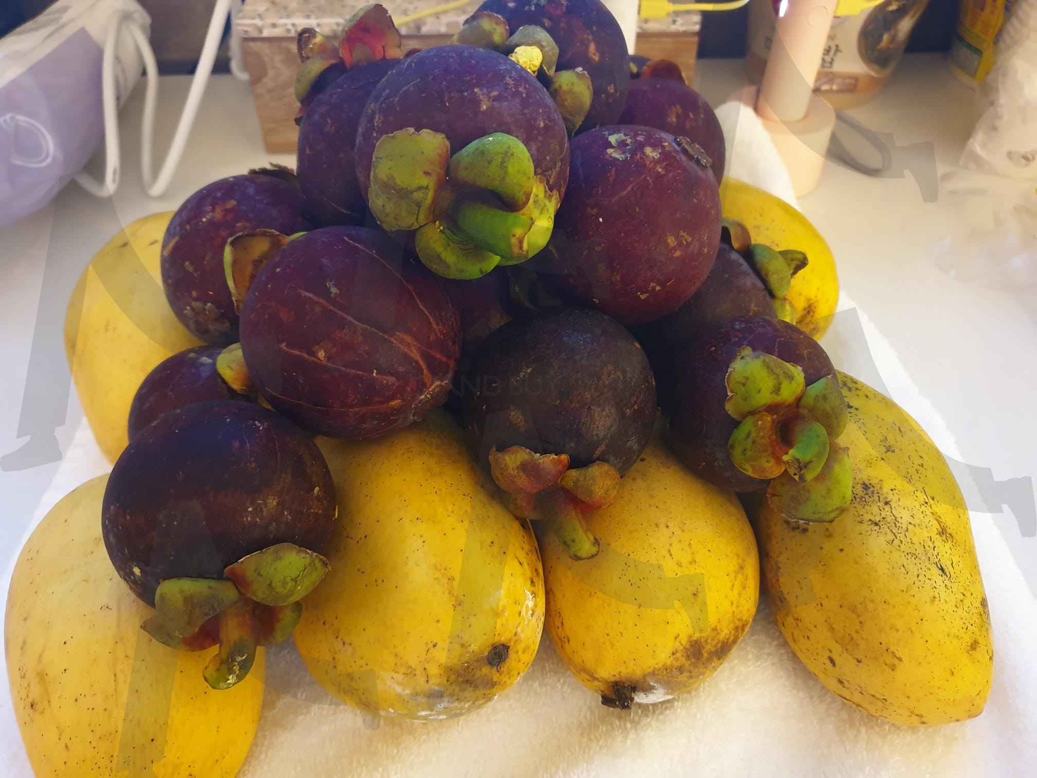 보라카이 | 보라카이, 망고스틴, 망고, 여행, 호텔 | 스탠바이 STANDBUY 디지털 콘텐츠