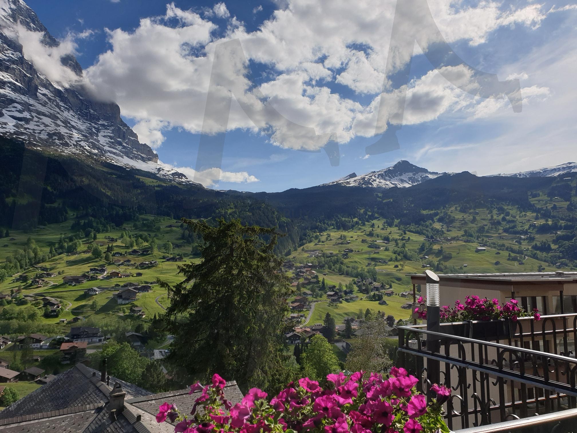 여행 | 스위스, 인터라켄, 호텔뷰, 여행, 풍경, 설산, 들판, 6월 | 스탠바이 STANDBUY 디지털 콘텐츠