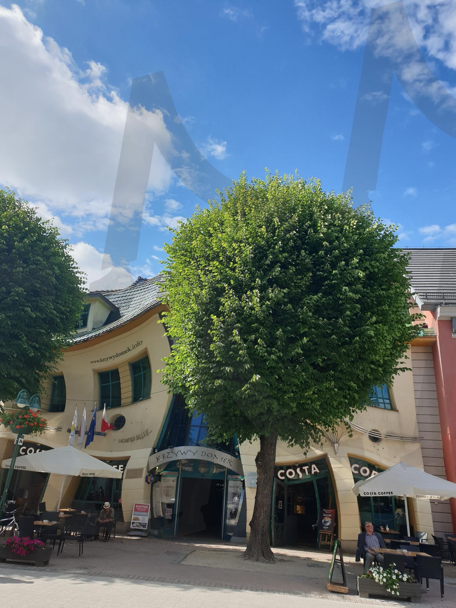 여행 | 여행, 폴란드, 소폿, 풍경, 카페, 나무 | 스탠바이 STANDBUY 디지털 콘텐츠