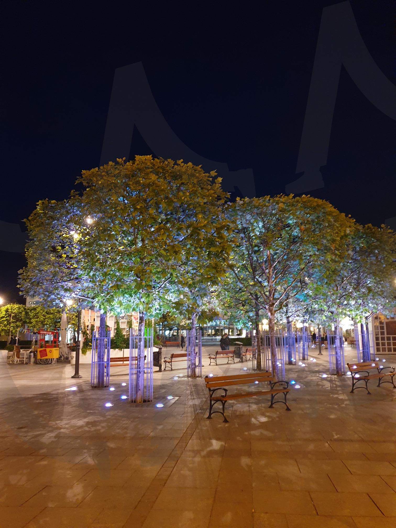 여행 | 여행, 폴란드, 소폿, 광장, 저녁, 풍경 | 스탠바이 STANDBUY 디지털 콘텐츠