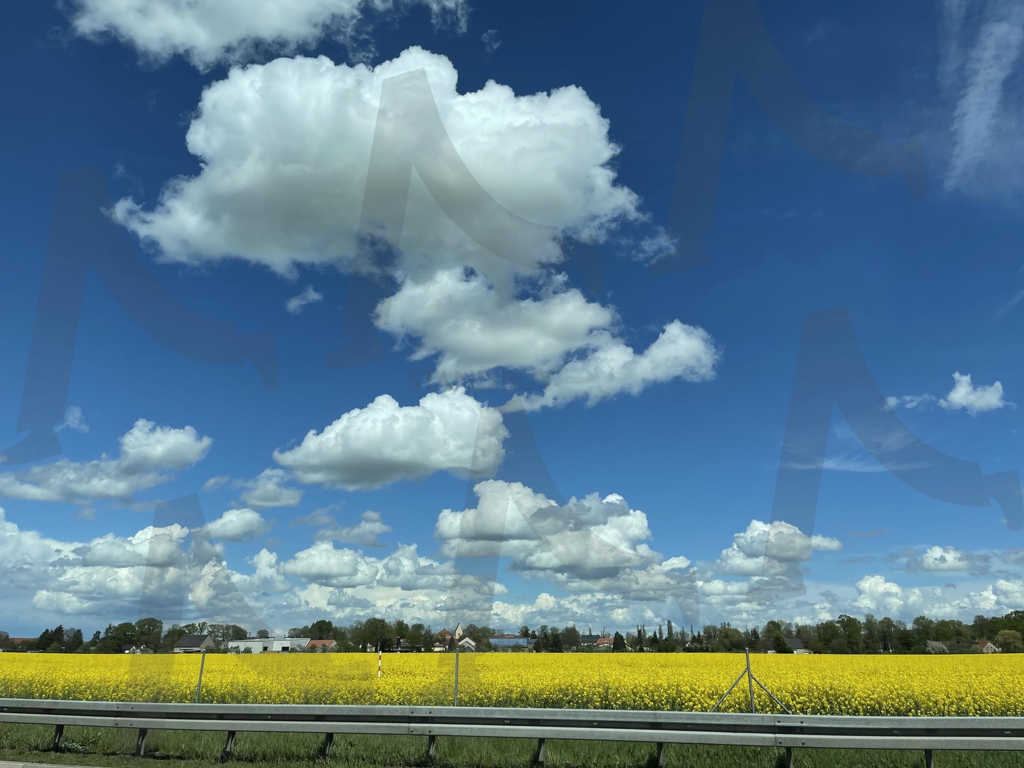 드라이브 | 드라이브, 나운호프, 독일, 유채꽃, 풍경, 하늘, 구름 | 스탠바이 STANDBUY 디지털 콘텐츠