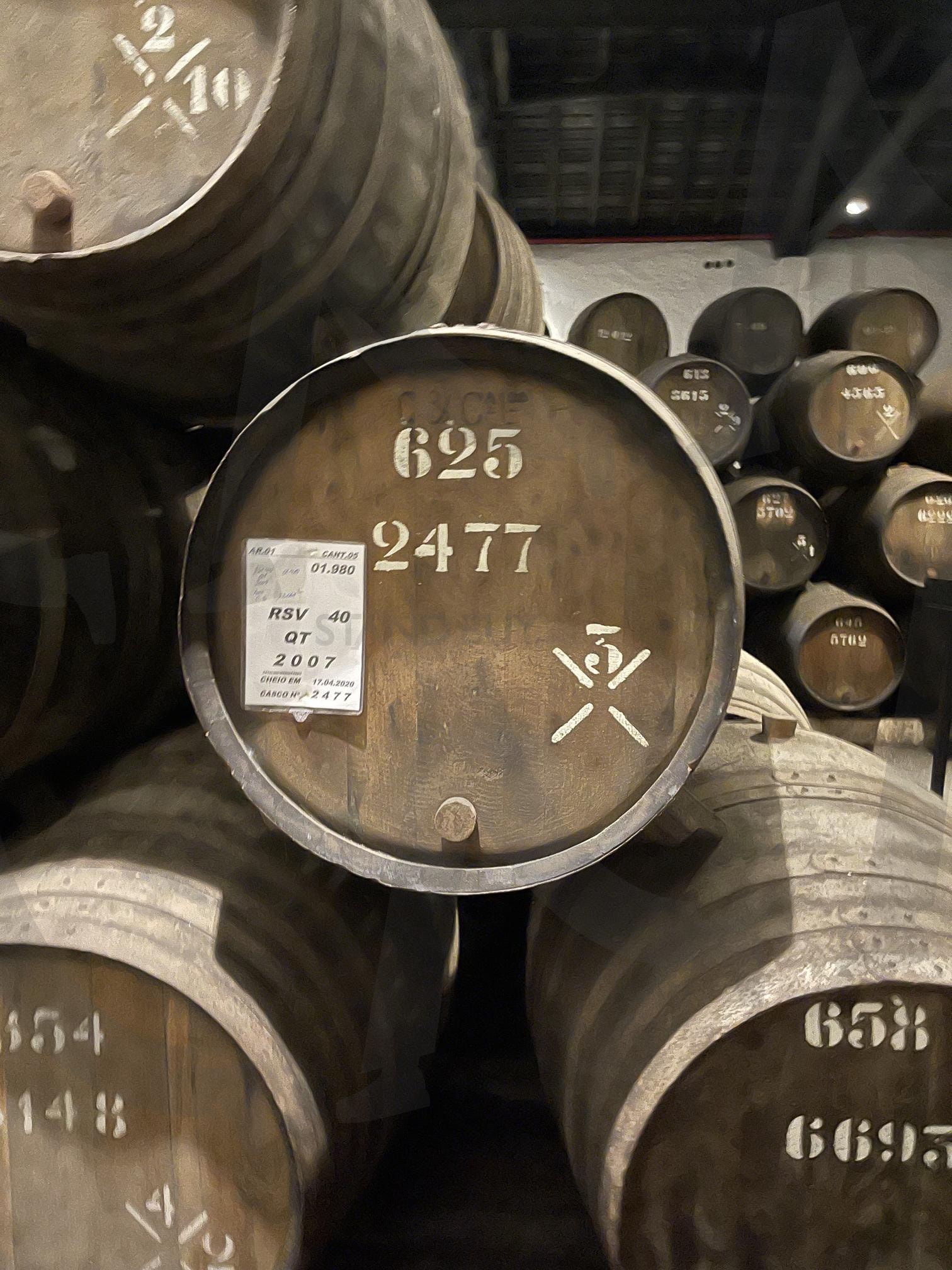 여행 | 여행, 포르투칼, 포르투, 와이너리, 11월 | 스탠바이 STANDBUY 디지털 콘텐츠