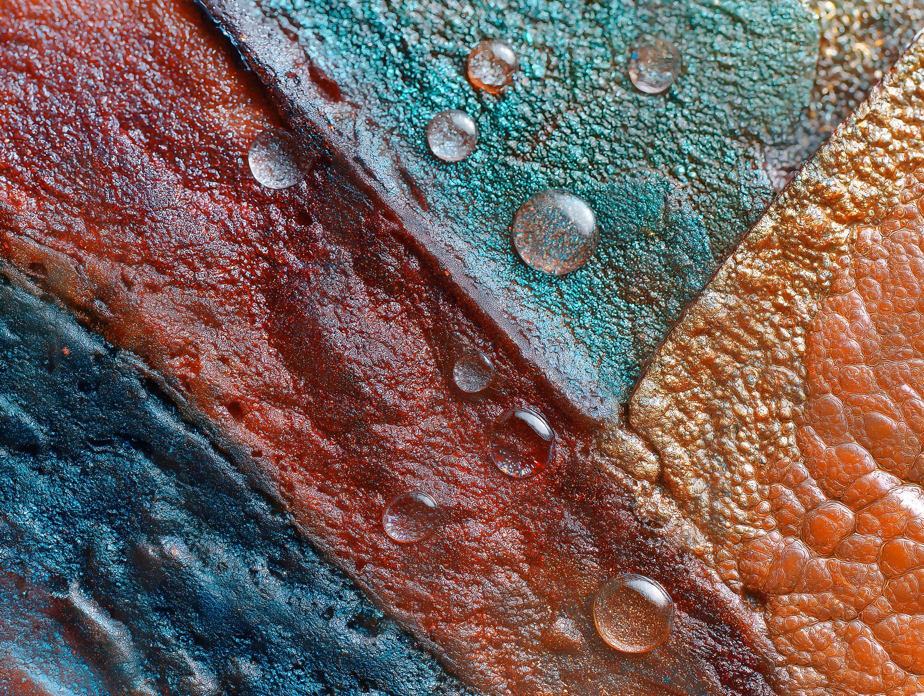 마른 오징어 표면의 추상적 배경 | 마른 오징어, 오징어, 추상적, 배경, 질감, 창의성, 요리, 음식, ai | 스탠바이 STANDBUY 디지털 콘텐츠