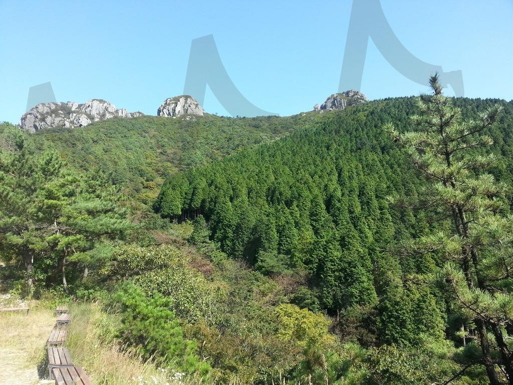 팔영산 편백숲 능선 풍경 | 팔영산, 편백숲, 편백나무, 8봉, 자연풍경, 남해안, 한국여행, 대한민국산, 산악사진, 풍경사진 | 스탠바이 STANDBUY 디지털 콘텐츠