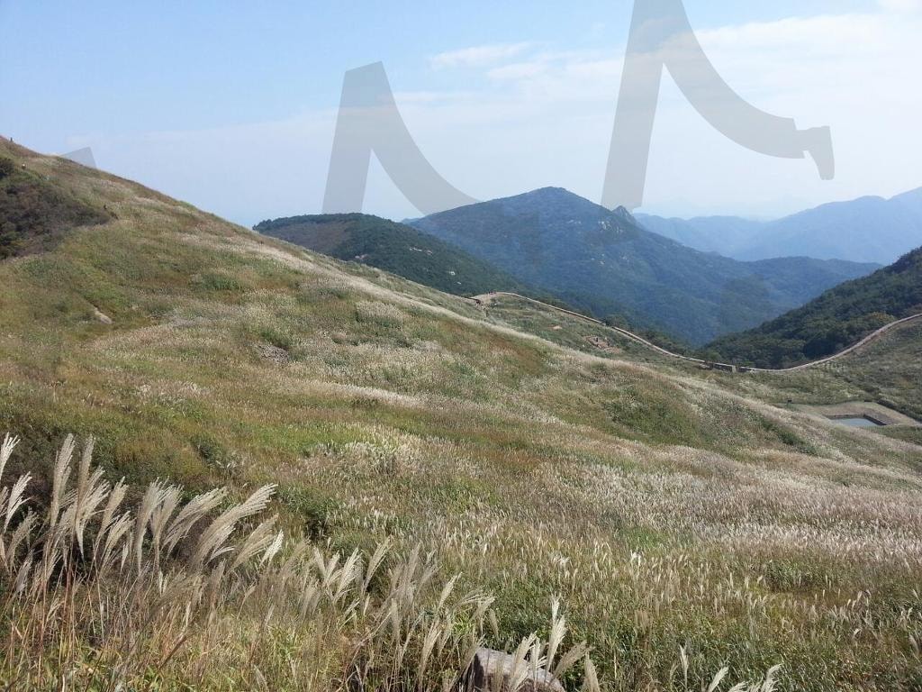 억새 물결이 넘실대는 창녕 화왕산 억새평원 | 화왕산, 억새평원, 억새군락지, 가을풍경, 가을산, 산악사진, 산악풍경 | 스탠바이 STANDBUY 디지털 콘텐츠