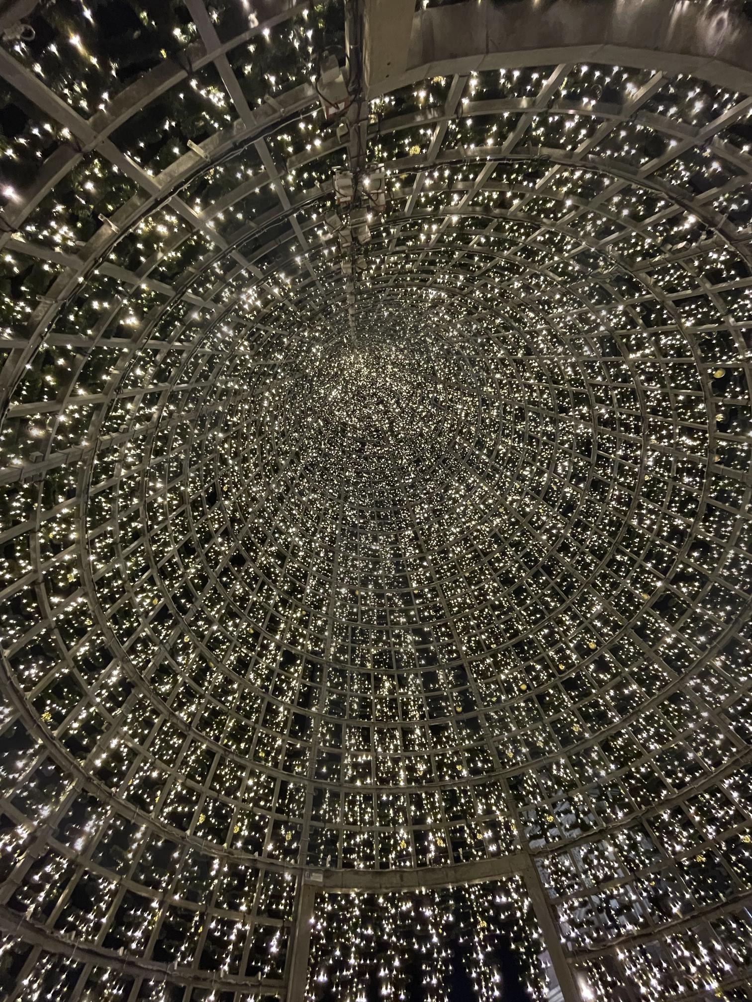 여행 | 여행, 포르투칼, 11월, 리스본, 대형트리안 | 스탠바이 STANDBUY 디지털 콘텐츠