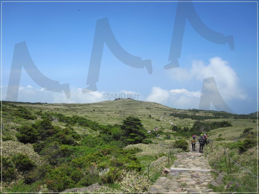 “한라산 초여름 풍경 – 2012년 6월 푸른 윗세오름과 방아오름” | 한라산, 여름산행, 윗세오름, 제주여행, 제주산행 | 스탠바이 STANDBUY 디지털 콘텐츠