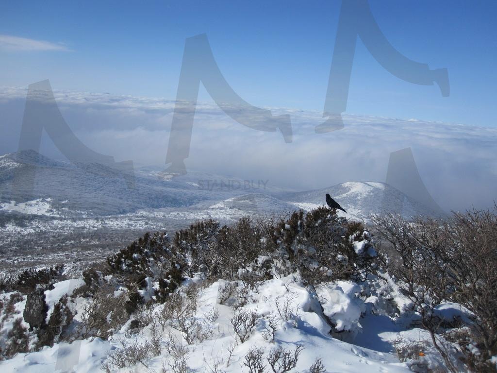 “한라산 겨울 설경 – 2013년 1월 눈 덮인 백록담과 설원”2 | 한라산, 제주도, 겨울산행, 설경, 한라산등산, 설원, 한국자연, 겨울풍경 | 스탠바이 STANDBUY 디지털 콘텐츠