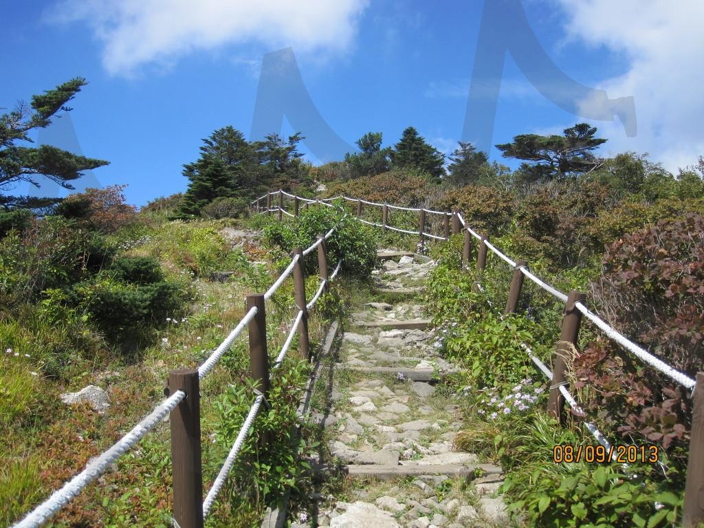 "지리산 반야봉, 여름의 초록 풍경 (2013.09.08)" | 지리산, 반야봉, 임걸령, 여름지리산, 여름산행, 지리종주 | 스탠바이 STANDBUY 디지털 콘텐츠