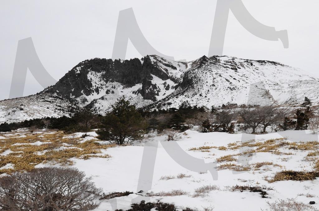 "한라산 설경, 겨울 백록담 (2013.01.06)" | 백록담, 한라산, 윗세오름, 겨울산행, 설경, 겨울등산 | 스탠바이 STANDBUY 디지털 콘텐츠