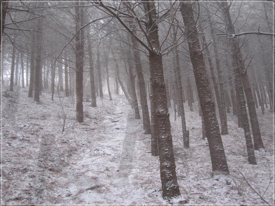 "지리산 왕시루봉, 새해 첫날 설경 (2012.01.01)" | 왕시루봉, 지리산, 설경, 겨울산행, 설산풍경 | 스탠바이 STANDBUY 디지털 콘텐츠