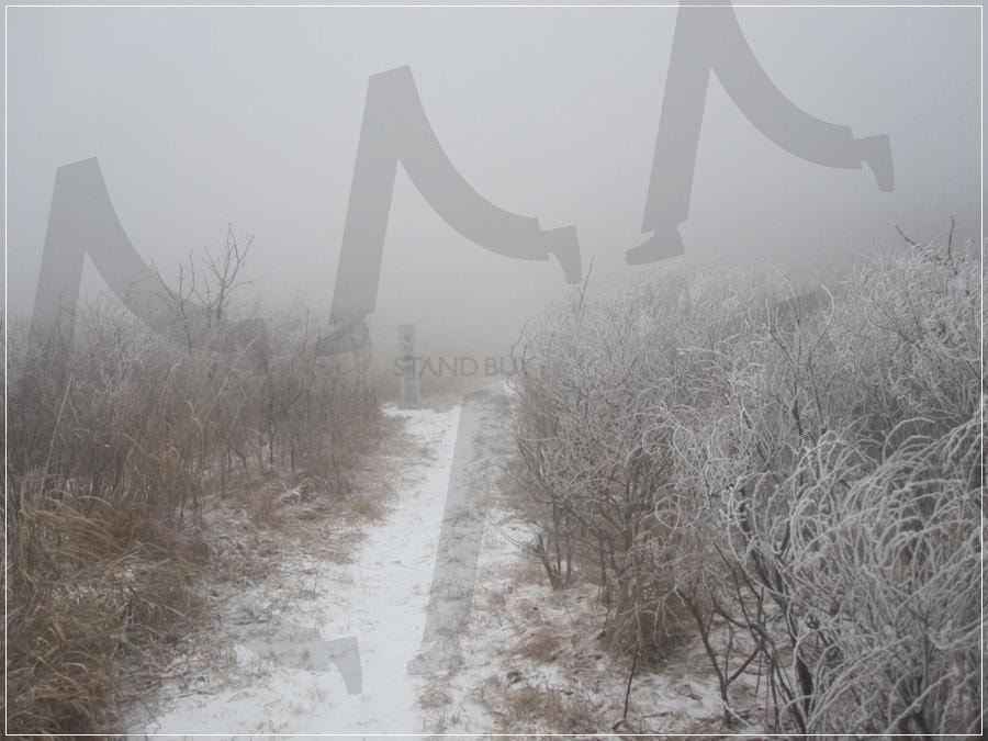 "지리산 왕시루봉, 새해 첫날 설경 (2012.01.01)" | 지리산, 왕시루봉, 설경, 겨울산행, 설산 | 스탠바이 STANDBUY 디지털 콘텐츠