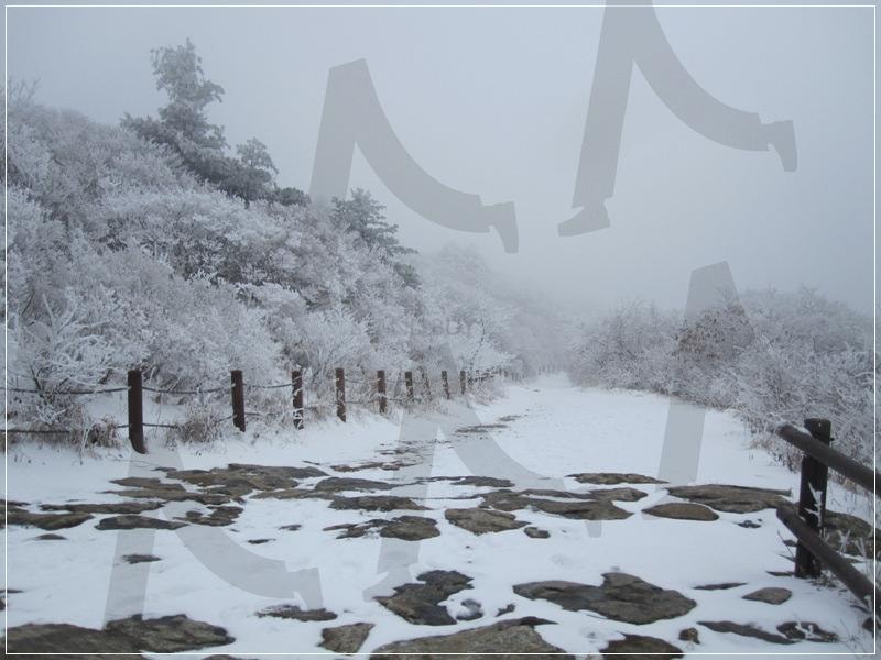 "지리산 노고단 고개, 겨울 설경 (2011.12.13)" | 지리산, 노고단, 노고단고개, 설경, 겨울지리산 | 스탠바이 STANDBUY 디지털 콘텐츠