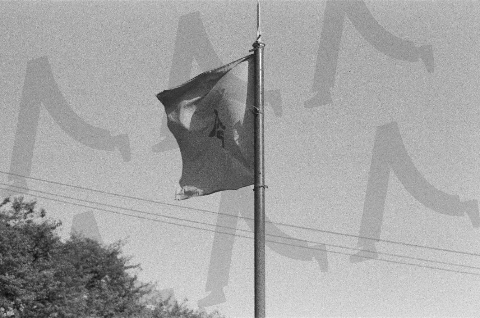 수원 화성 / Suwon Hwaseong Fortress | 수원, 수원화성, 수원화성성곽길, 수원사진, 풍경사진, 필름, 필름사진, 흑백, 흑백사진, 흑백필름 | 스탠바이 STANDBUY 디지털 콘텐츠