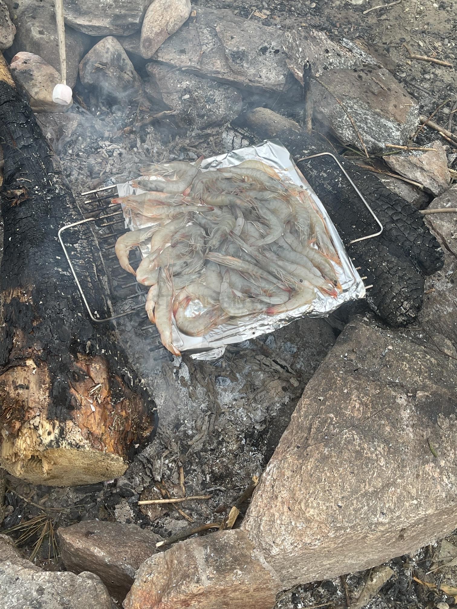 독일 | 독일, 바베큐장, 새우, 장작, 나무, 새우구이 | 스탠바이 STANDBUY 디지털 콘텐츠