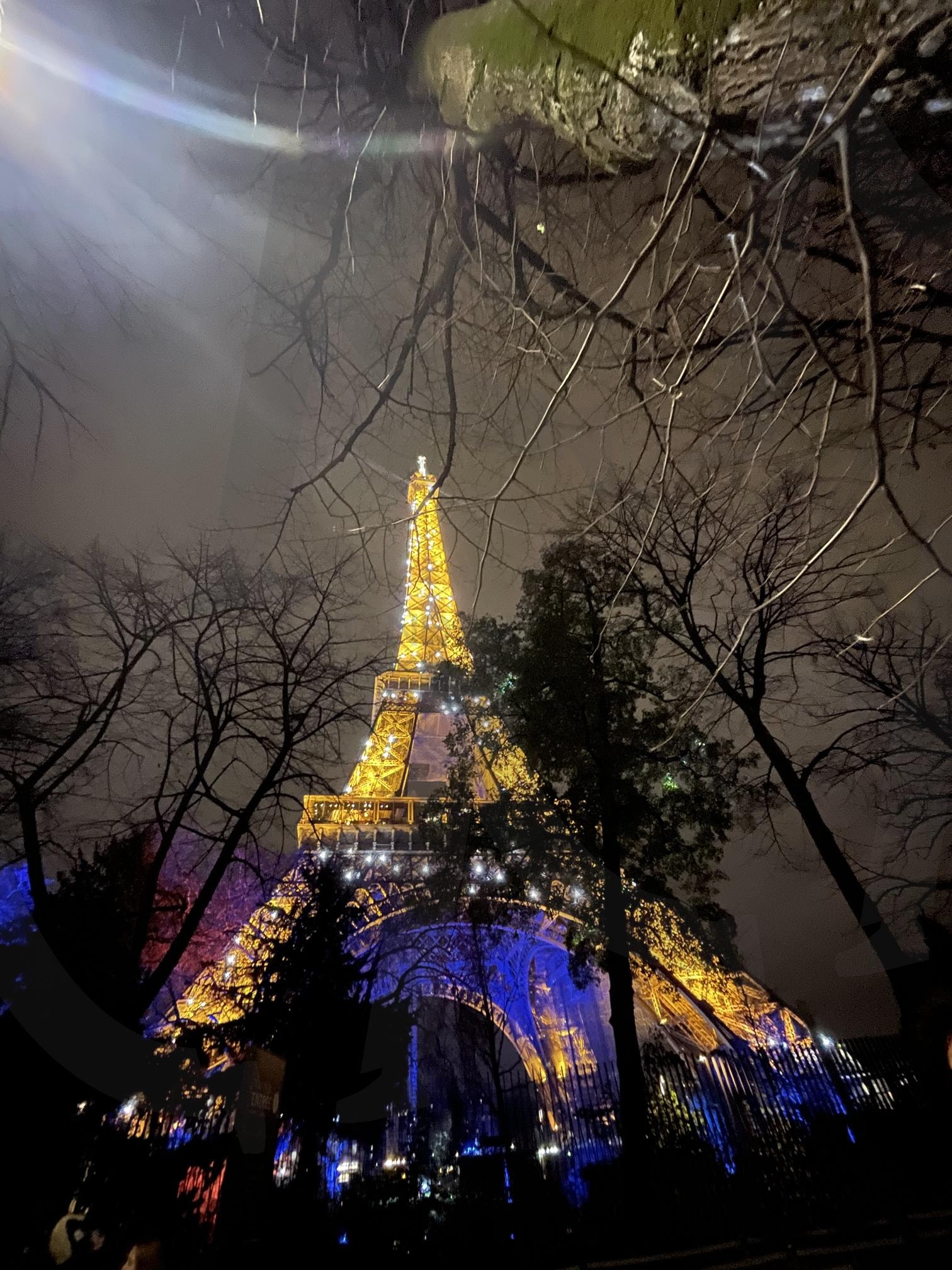 프랑스 | 프랑스, 파리, 에펠탑, 11월, 야경 | 스탠바이 STANDBUY 디지털 콘텐츠