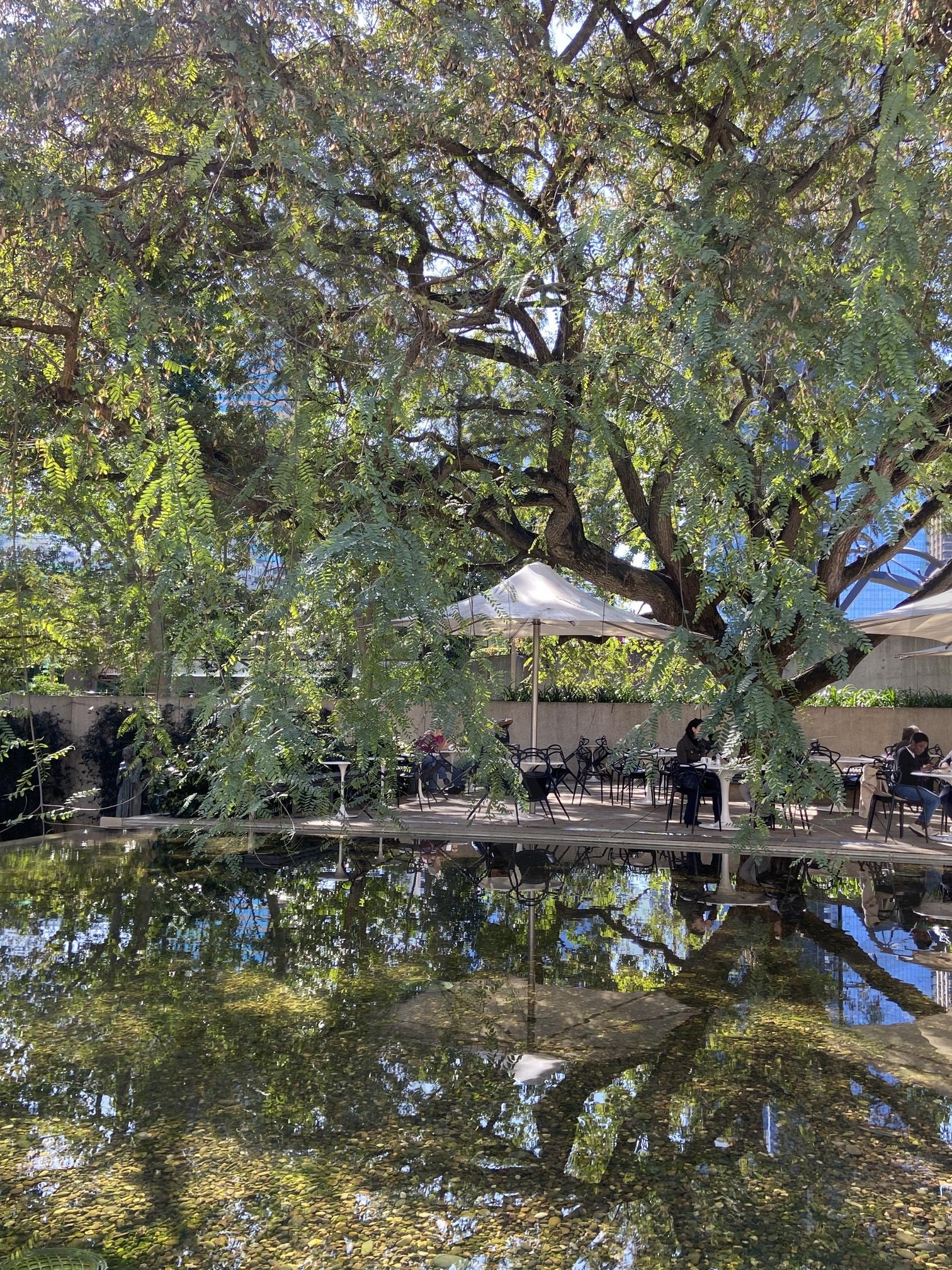 자연 카페 | 카페, 외국카페, 감성카페, 정원 카페, 자연 속 카페, 햇살 좋은 날, 힐링, 자연 | 스탠바이 STANDBUY 디지털 콘텐츠