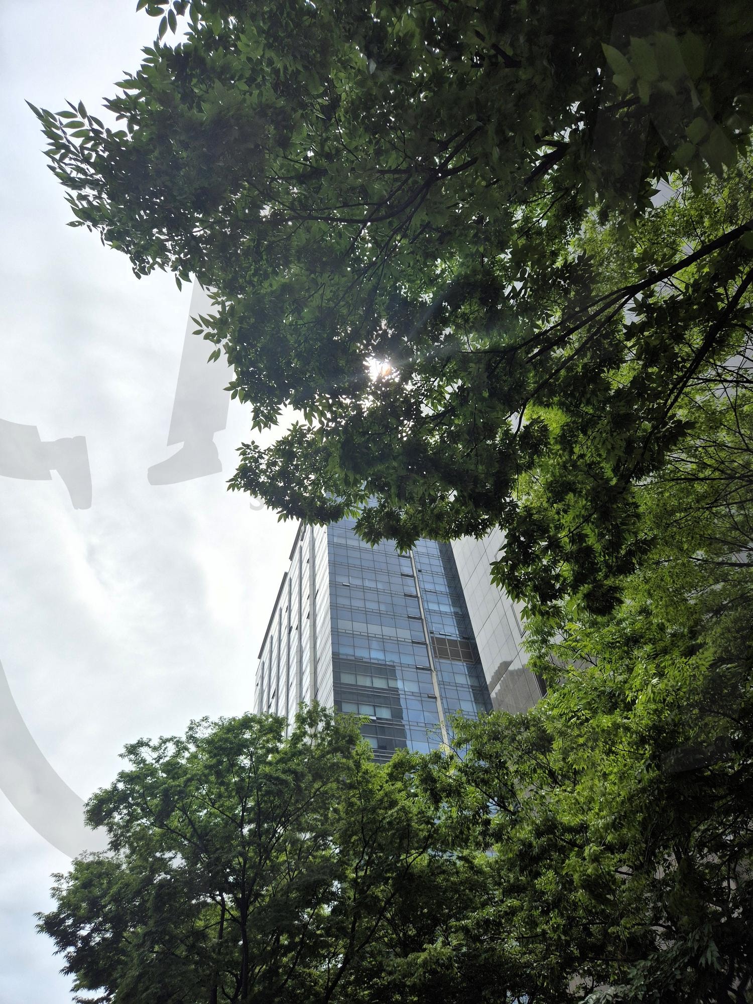 서울하늘 | 서울, seoul, 서울하늘, 서울중심가, 하늘 | 스탠바이 STANDBUY 디지털 콘텐츠