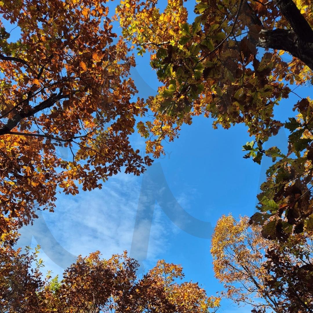 수락산 둘레길 가을하늘 | 서울, 수락산, 둘레길, 등산, 가을 | 스탠바이 STANDBUY 디지털 콘텐츠