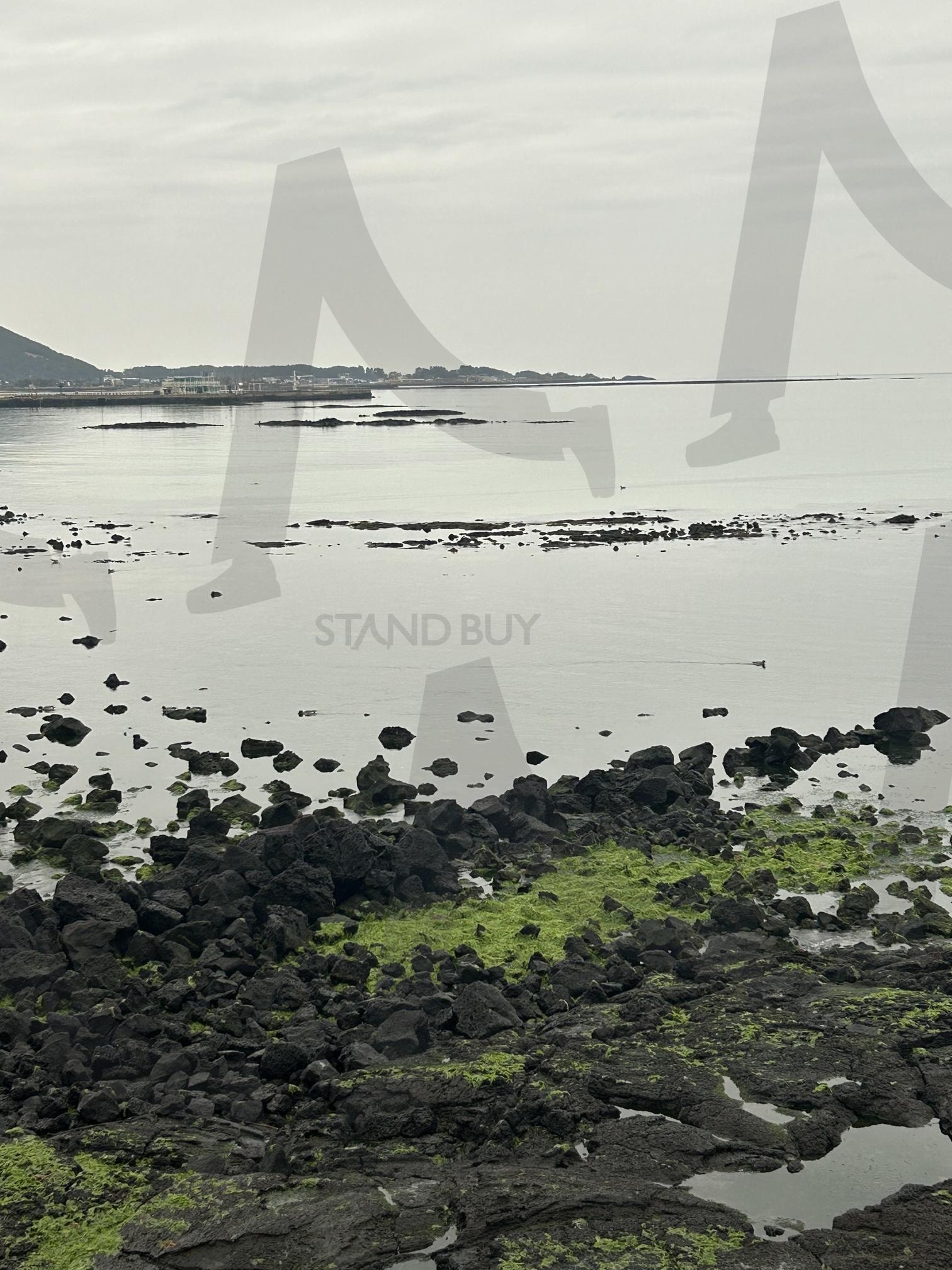 고요한 바다의 아침 | 바다풍경, 여행뷰, 고요한하루, 힐링장소, 물가풍경 | 스탠바이 STANDBUY 디지털 콘텐츠