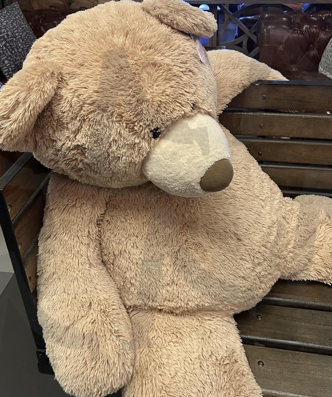 포근한 곰 인형 | 곰인형, 귀여운사진, 포근한아이템, 감성소품, 일상기록 | 스탠바이 STANDBUY 디지털 콘텐츠