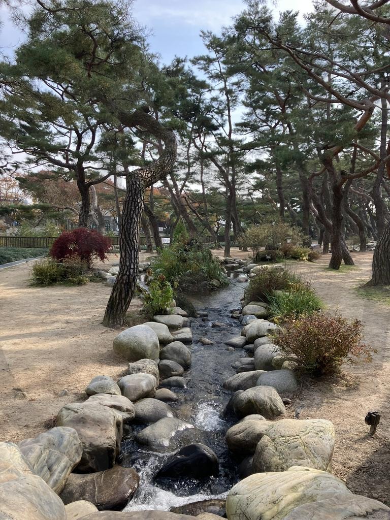 솔바람 길을 따라 흐르는 작은 시냇물 | 의림지, 솔밭공원, 의림지솔밭공원, 제천공원, 인공시냇물, 시내, 시냇물, 산책, 산책길, 산책로, 물소리, 소나무, 공원모습, 공원, 자연풍경, 평화루운풍경, 일상, 일상속자연, 자연, 물길, 솔바람, 힐링풍경, 트레킹, 야외풍경, 작은시냇물, 자연사진 | 스탠바이 STANDBUY 디지털 콘텐츠