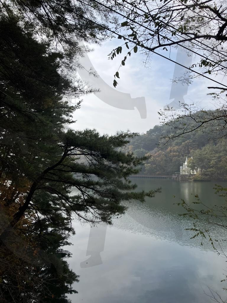 고요 속의 제천 비룡담 저수지 | 호수풍경, 호수, 비룡담, 비룡담저수지, 저수지, 자연감성, 감성사진, 자연풍경, 가을, 가을산책, 산책, 트레킹, 하이킹, 물빛, 숲속풍경, 고요한, 평화로운, 자연, 제천, 가을여행, 여행, 힐링여행, 의림지, 제천시, 제천사진 | 스탠바이 STANDBUY 디지털 콘텐츠