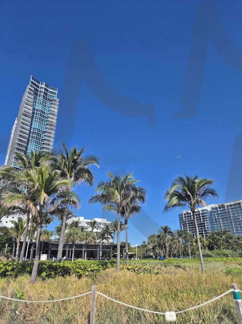 푸른 하늘과 야자수가 만든 완벽한 해변 휴양지 풍경 | 해변, 야자수, 휴양지, 리조트, 고층 건물, 트로피컬, 맑은 하늘, 산책로, 자연 풍경 | 스탠바이 STANDBUY 디지털 콘텐츠