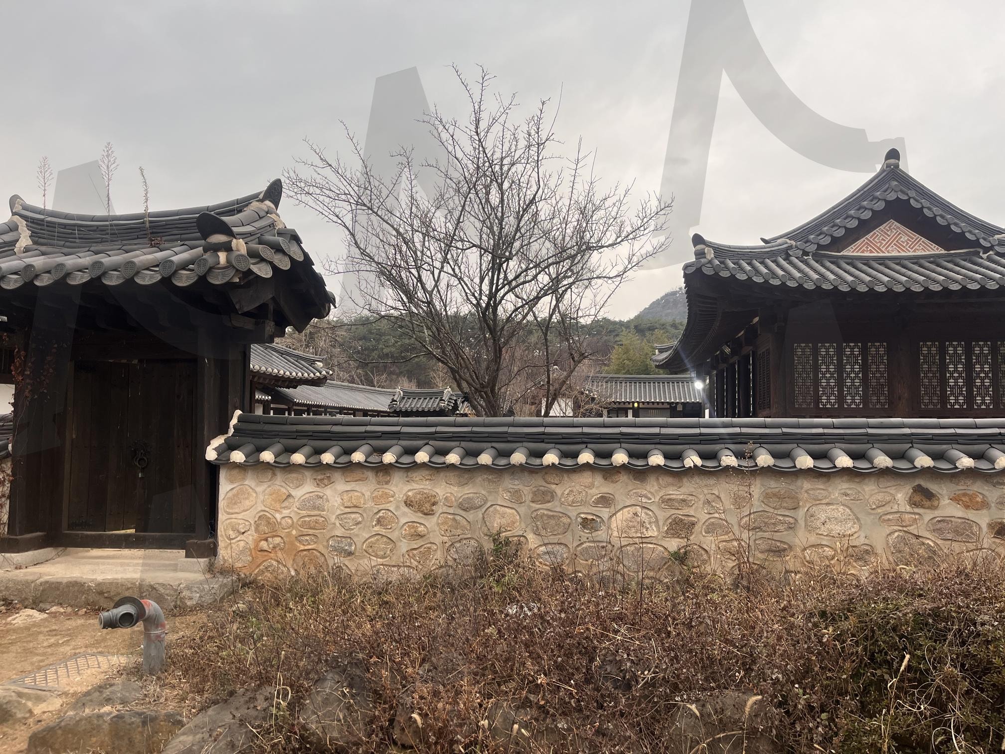 고요한 겨울 한옥의 풍경 | 한옥, 한국전통, 고즈넉한풍경, 겨울풍경, 전통건축, 한국풍경, 자연과전통 | 스탠바이 STANDBUY 디지털 콘텐츠