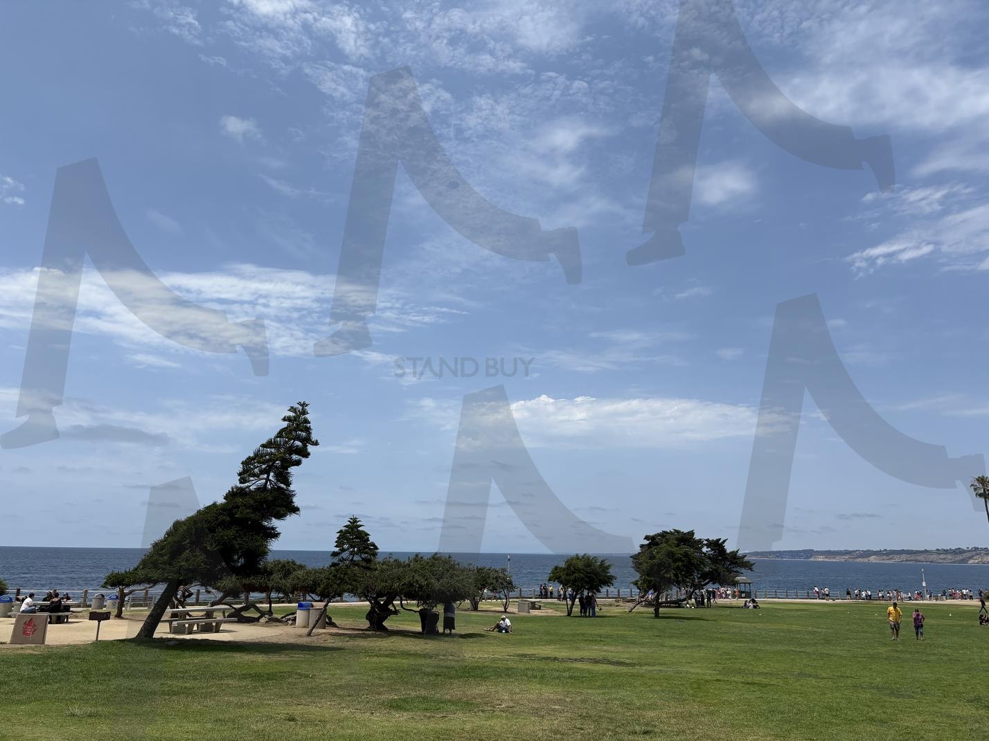 맑은 하늘 아래 펼쳐진 평온한 풍경 /A Peaceful Landscape Under the Clear Sky | 자연풍경, 푸른하늘, 초원, 바람부는날, 풍경사진, nature scenery, blue sky, meadow | 스탠바이 STANDBUY 디지털 콘텐츠