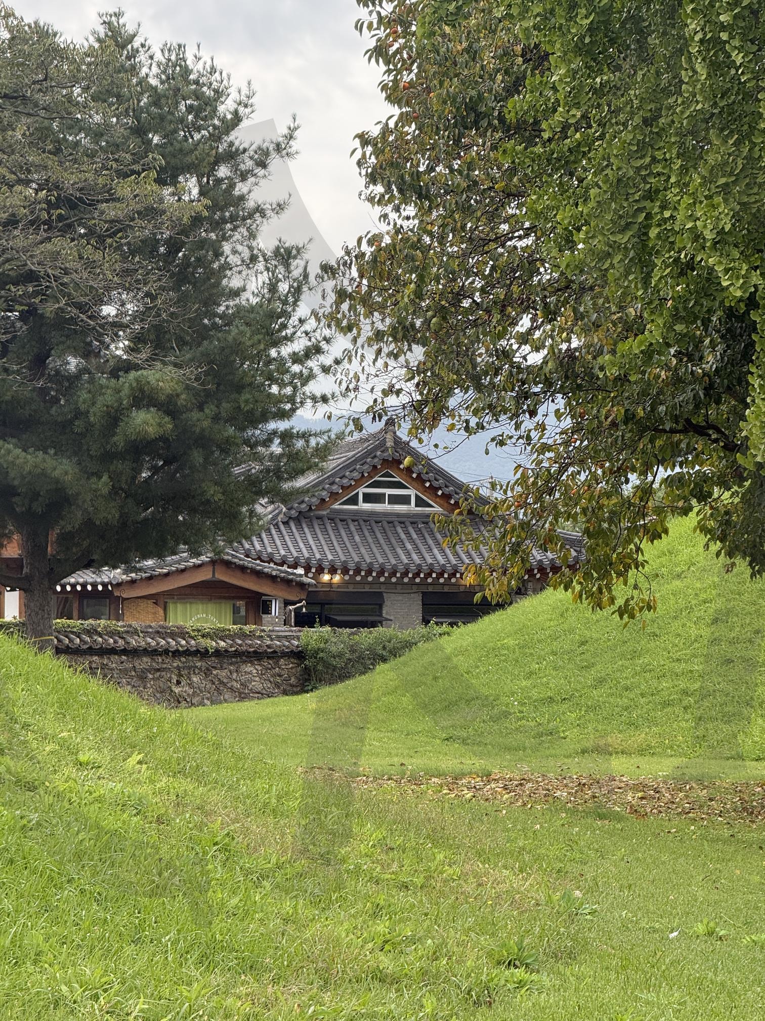 기와 | 문화재, 풍경, 기와, 여름, 여행 | 스탠바이 STANDBUY 디지털 콘텐츠