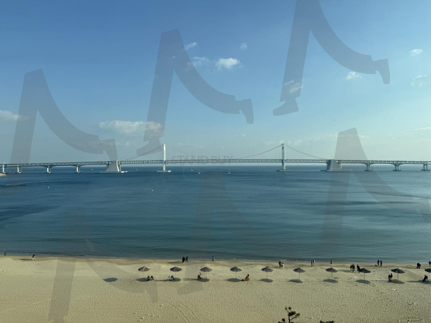 바다 | 바다, 여름, 청량, 광안리, 전경 | 스탠바이 STANDBUY 디지털 콘텐츠