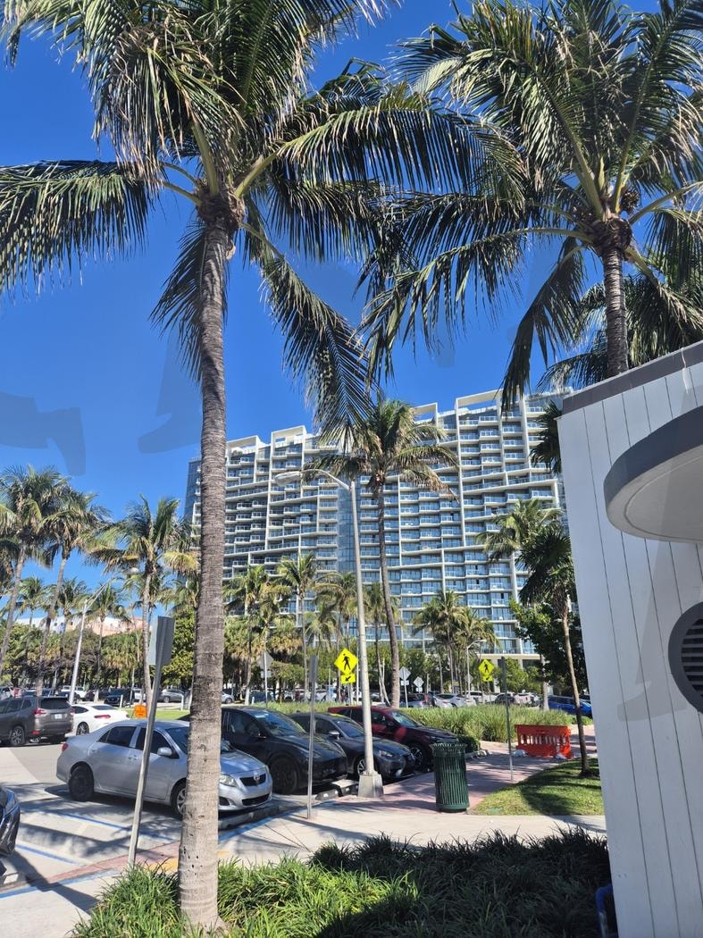 맑은 하늘 아래 펼쳐진 휴양지의 여유 | 야자수, 휴양지, 트로피컬풍경, 맑은하늘, 자연과도시, 여름분위기 | 스탠바이 STANDBUY 디지털 콘텐츠