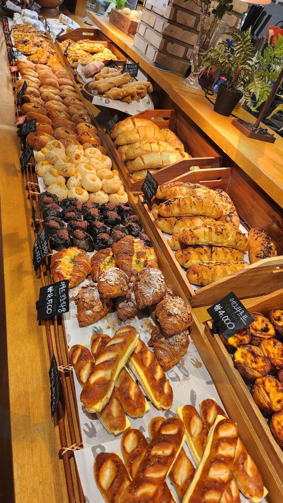 부산 빵집 | 부산 빵집, 카페사진, 빵, 감성카페, 디저트, 소금빵, 부산당 | 스탠바이 STANDBUY 디지털 콘텐츠