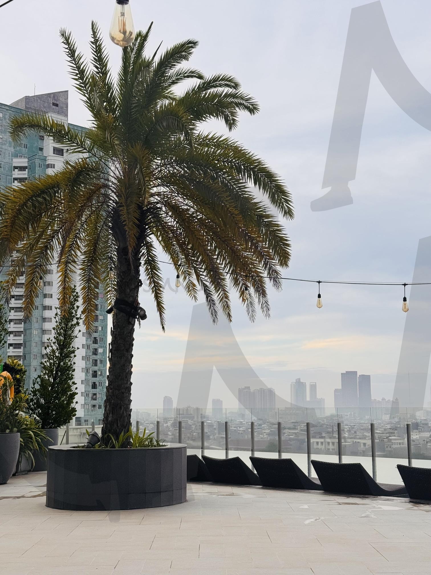 도심 속 오아시스: 흐린 스카이라인을 마주한 호텔 루프탑의 야자수와 라운지 | 야자수, 루프탑, 수영장, 인피니트풀, 스카이라인, 모던라이프 | 스탠바이 STANDBUY 디지털 콘텐츠