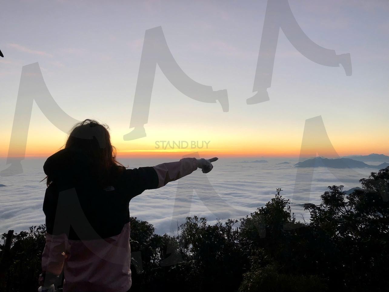 일출을 바라보는 고요한 순간 | sunrise, silhouette, morning calm, Nature Landscape, Peaceful moment | 스탠바이 STANDBUY 디지털 콘텐츠