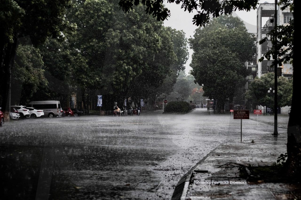 빗속에 잠긴 고요한 거리_베트남 하노이 | 비오는거리, 베트남, 하노이, 빗물, 빗소리와 거리 | 스탠바이 STANDBUY 디지털 콘텐츠