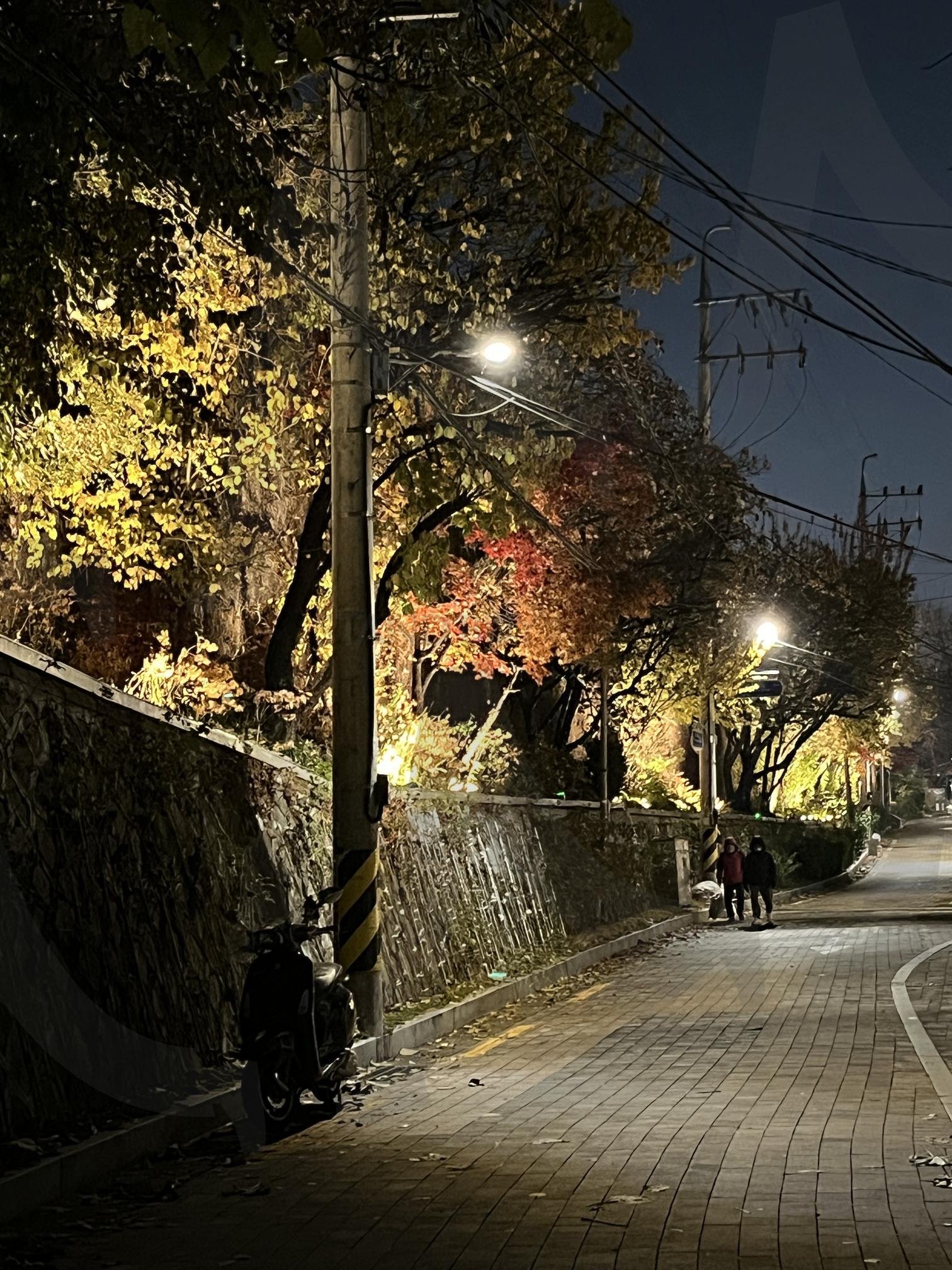 저녁 감성 연남동 뒷골목 가로등과 낙엽 진 풍경 | 저녁, 감성, 정서적, 서정적, 감성사진, 저녁감성, 연남동, 연트럴파크, 연희동, 마포, 뒷골목, 가로등, 가로등불, 산책, 길, 해질녘 | 스탠바이 STANDBUY 디지털 콘텐츠