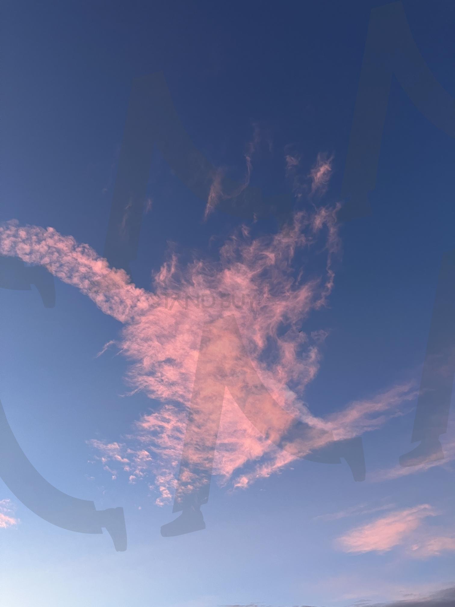 해돋이 푸른 하늘과 붉은 구름 | 일출, 해뜰녘, 구름, 하늘, 푸른하늘, 파란, 핑크, 붉은구름, 맑은, 예쁜, 감성, 핑크구름, 노고단, 지리산, 산, 해돋이, 청량, 청량함, 포카리스웨트, 분홍, 분홍구름 | 스탠바이 STANDBUY 디지털 콘텐츠