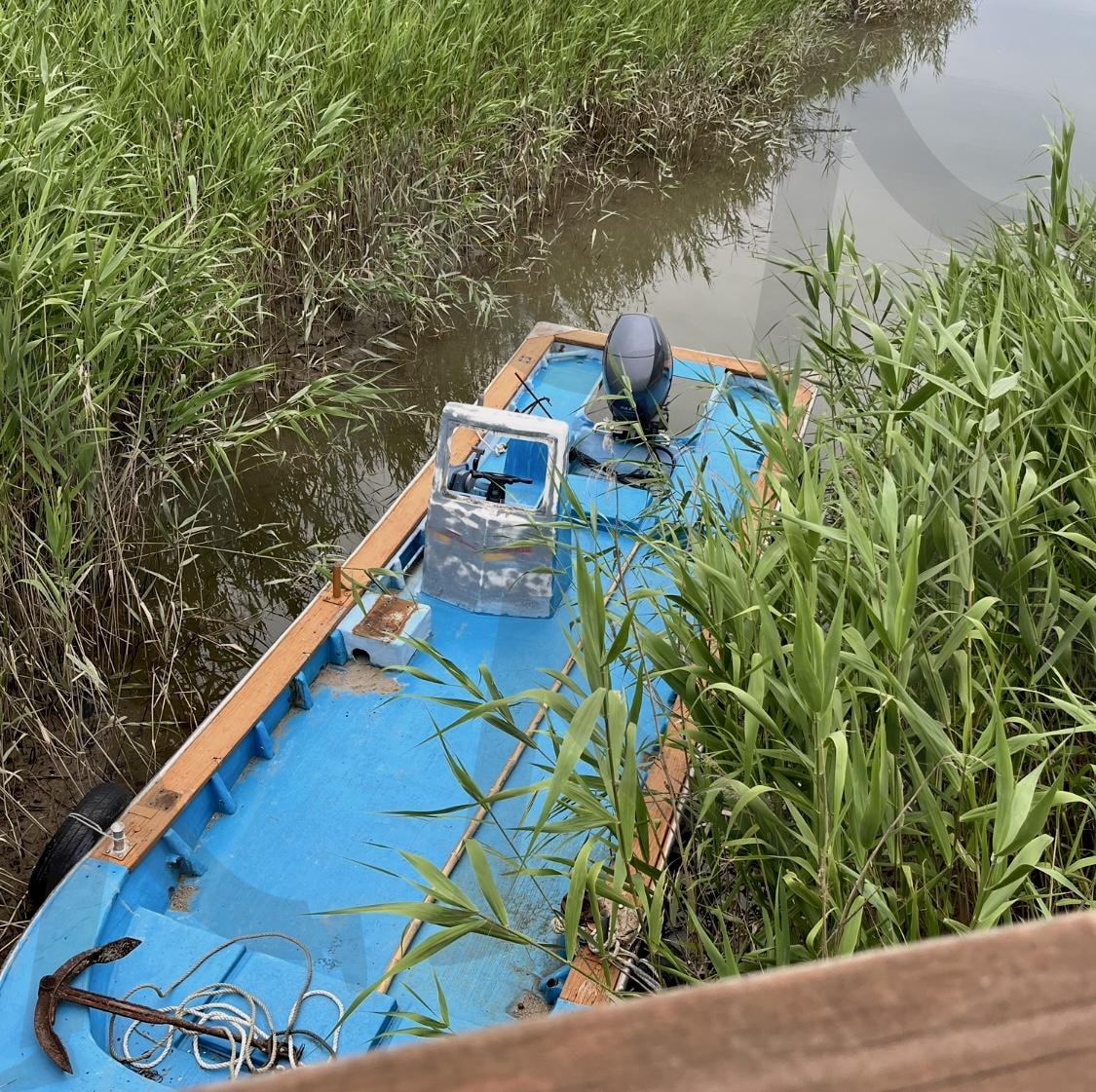 초록 녹음과 호수 나룻배 감성사진 | 빈티지, 강, 호수, 녹음, 초록색, 초록, 풀, 나뭇잎, 나룻배, 통통배, 배, 빛바랜, 감성, 감성적, 정서적, 한가로운, 여유로운, 한가한, 평화로운, vivid, 블루, 하늘색, blue | 스탠바이 STANDBUY 디지털 콘텐츠