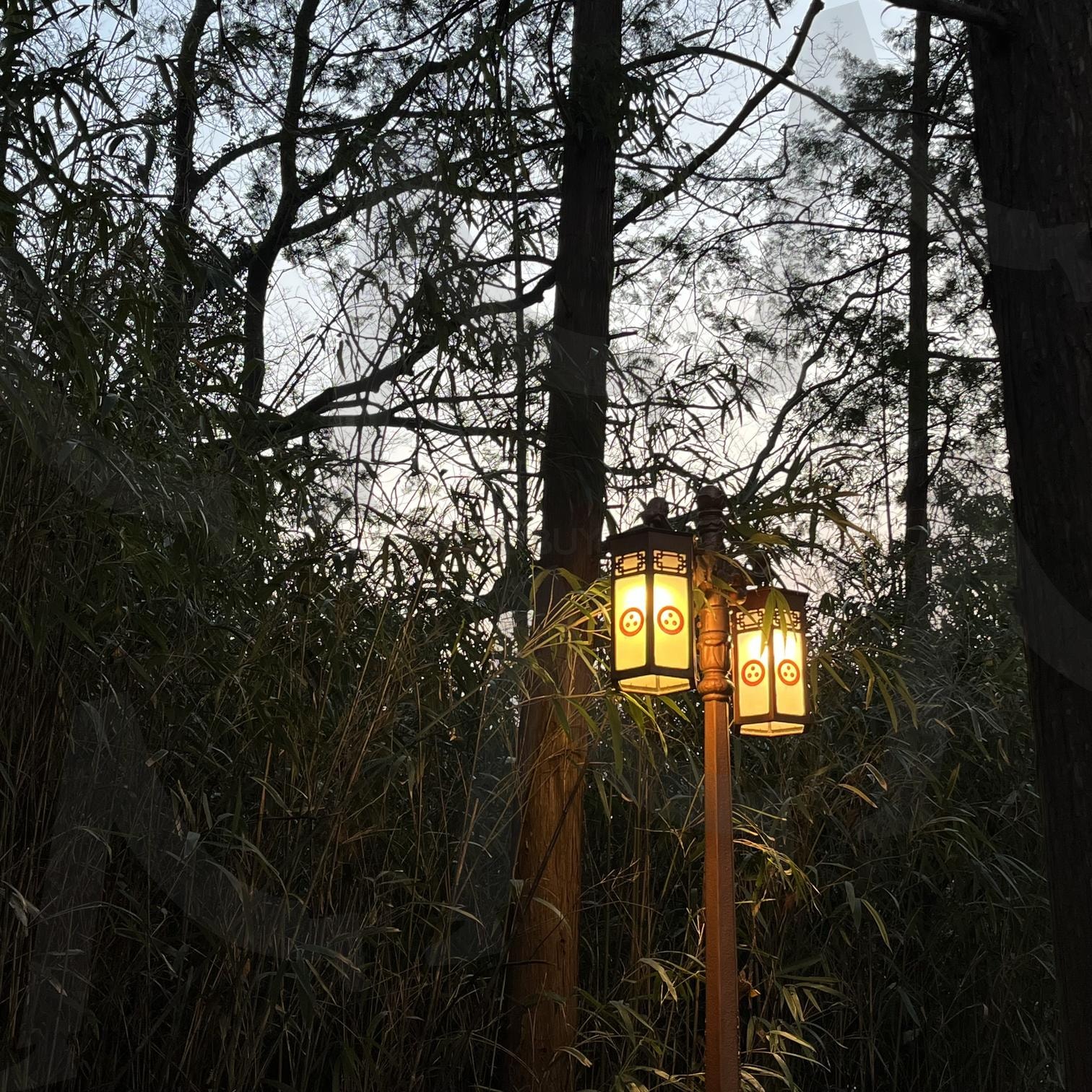 가로등 감성 사진 | 가로등, 등, 은은한, 불, 불빛, 가로등불, 저녁, 감성, 감성사진, 저녁감성, 해질녘, 그림자, 센과치히로의행방불명, 따뜻한, 노란 | 스탠바이 STANDBUY 디지털 콘텐츠