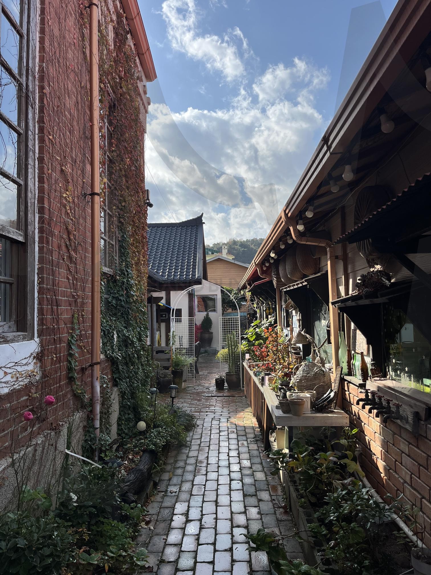 보성의 정겨운 골목 사진 | 보성, 벌교, 카페거리, 골목, 하늘, 구름, 맑은, 감성, 감성사진, 정겨운, 자연광, 카페, 길, 여행, 여행사진, 산책, 모리씨빵가게, 일상, 인증, 인스타 | 스탠바이 STANDBUY 디지털 콘텐츠