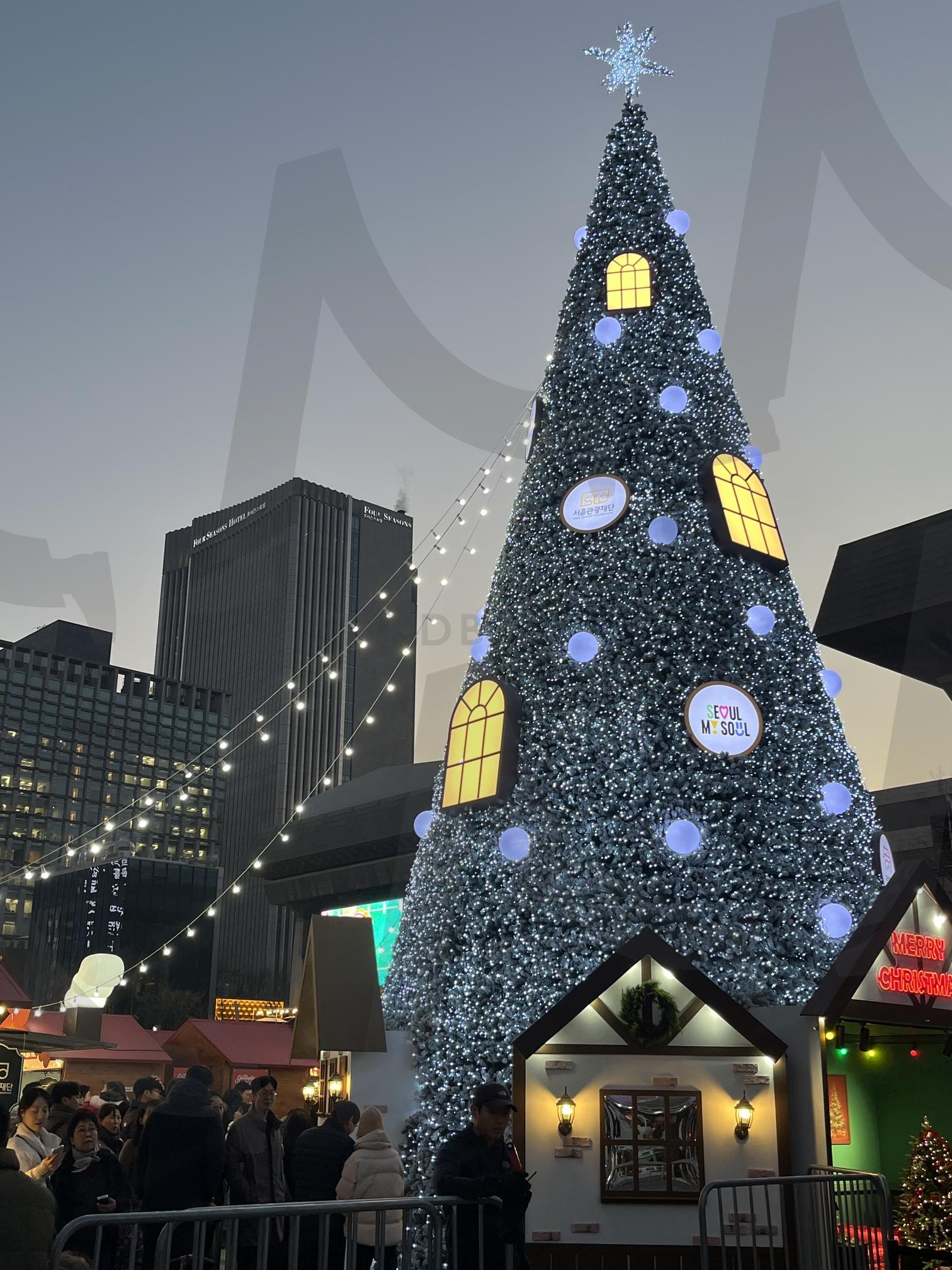 2025 광화문 크리스마스트리 | 광화문, 크리스마스, 트리, 크리스마스트리, xmas, Christmas, 연말, 겨울, 따뜻한, 화려한, 밝은, 저녁, 해질녘, 감성, 인스타, 일상, 인증, 산책, 광화문광장, 광장 | 스탠바이 STANDBUY 디지털 콘텐츠