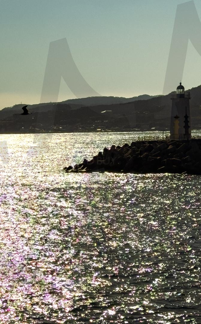 빛으로 반짝이는 바다와 등대 | 바다, 바다윤슬, 등대, 송대말등대, 경주감포항, 감포항바다, 갈매기, 햇빛, 방파제, 해안, 항구, 겨울풍경, 겨울바다, 겨울바다풍경, 고요함, 반짝임, 감성, 감성사진, 겨울 | 스탠바이 STANDBUY 디지털 콘텐츠