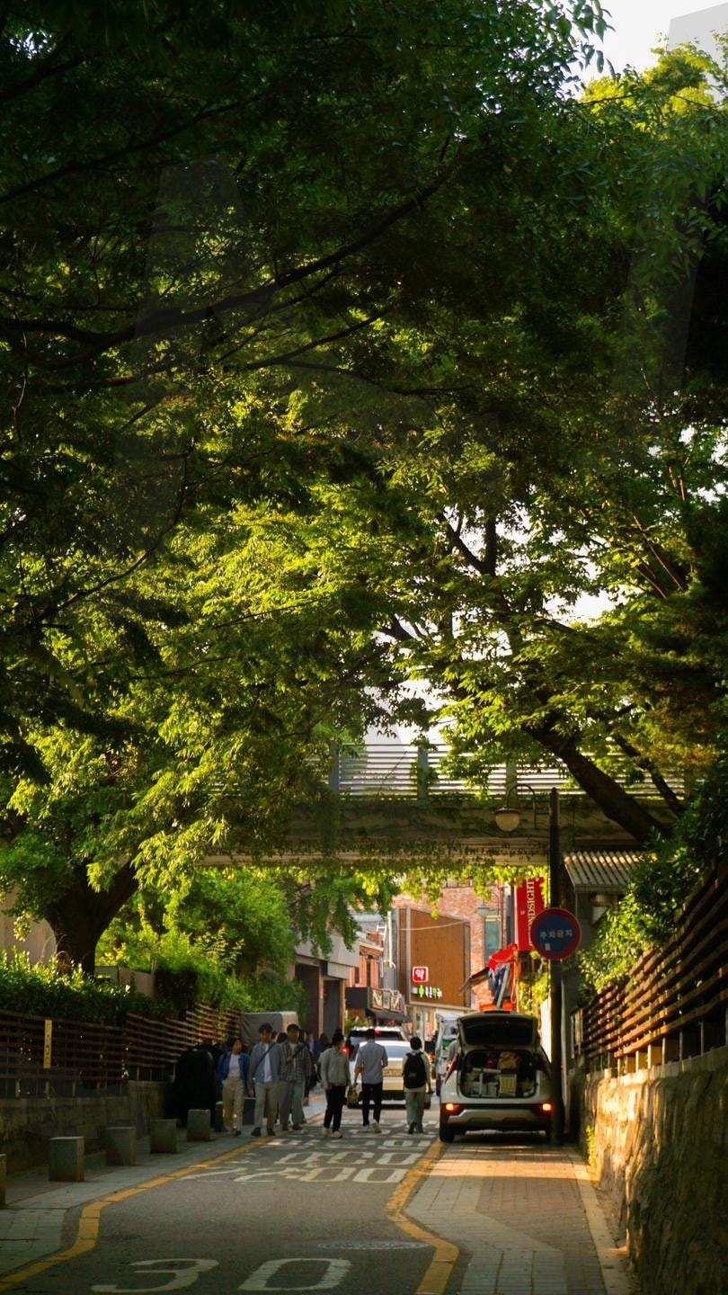 여름이었다 | 안국, 초록, 자연, 햇빛, 북촌, 한옥, 여름 | 스탠바이 STANDBUY 디지털 콘텐츠