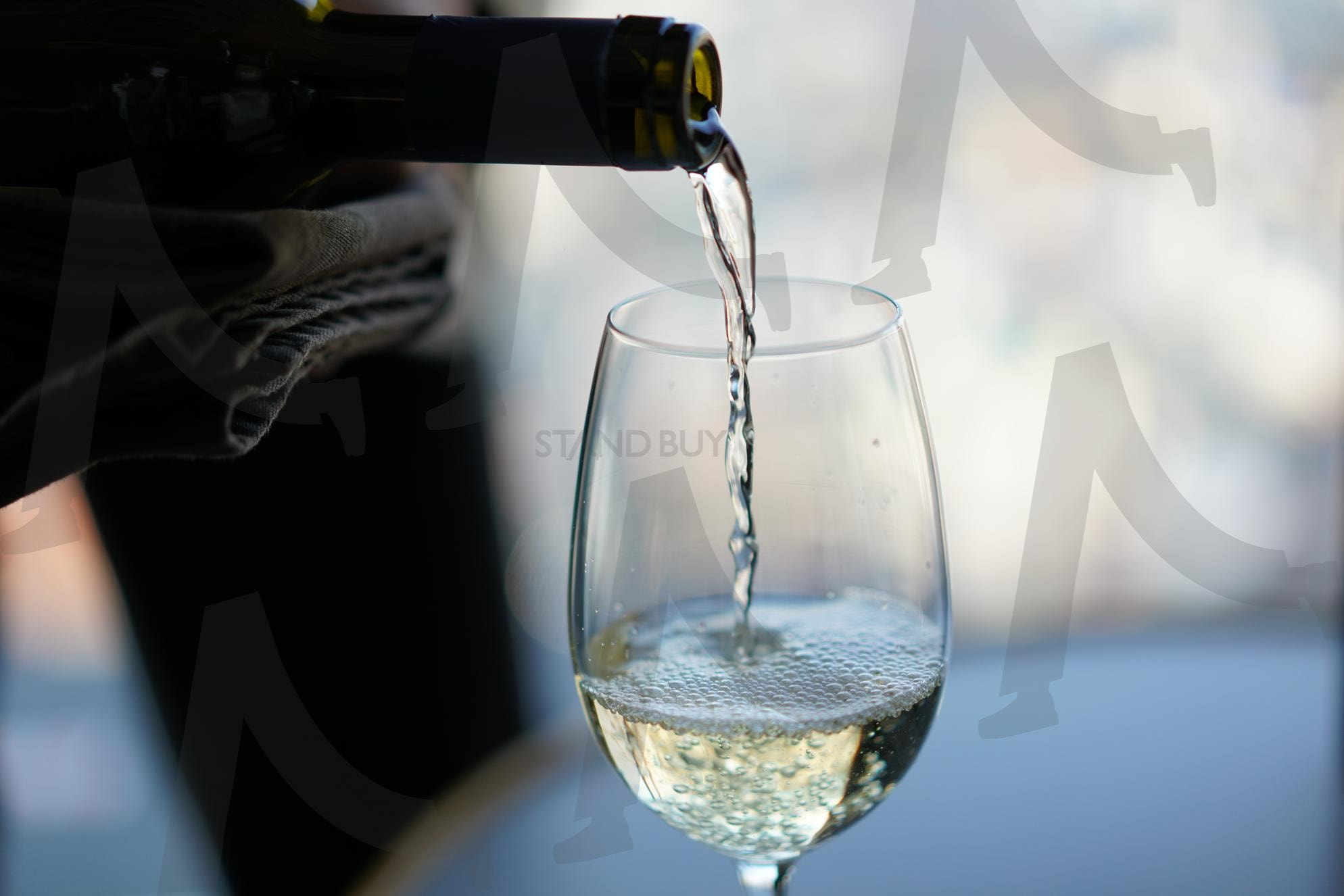 White wine being poured into a glass in a bright modern setting | wine, white wine, pouring, glass, drinks, Beverage, 와인, 화이트와인, 술, 식사, 레스토랑, 파티, 감성 | 스탠바이 STANDBUY 디지털 콘텐츠