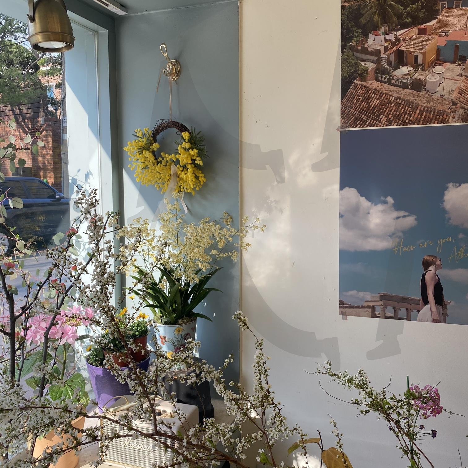 연희동 꽃집 | 연희동, 꽃, 감성, 빈티지, 앤티크, 감성사진, 봄, 산뜻한, 자연광, 유럽감성, 감각적, 감성적, 일상, 인스타, 블로그, 인증, 밝은, 파스텔, 화사한, 창문, 영화, 그림, 화단 | 스탠바이 STANDBUY 디지털 콘텐츠