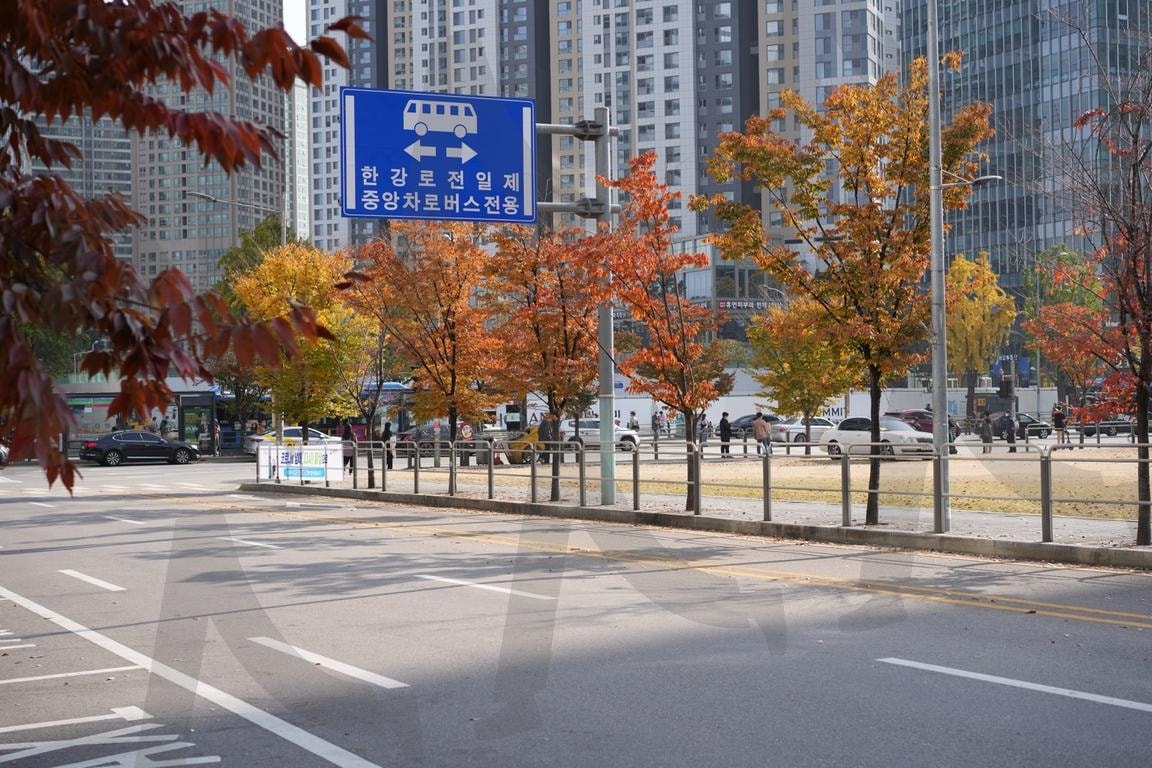 Seoul City Street in Autumn with Fall Foliage | Fall Foliage, city life, fall season korea, downtown street, public transportation area, seoul street | 스탠바이 STANDBUY 디지털 콘텐츠